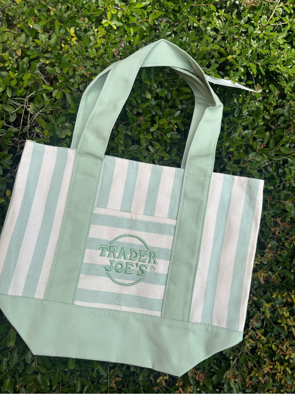 Trader Joe's Mint Green Stripe Mini Tote Bag